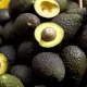 Más de 96.000 toneladas de aguacate mexicano serán consumidas en EE UU por los festejos del 5 de mayo