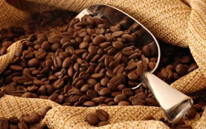 Colombia podría convertirse en el principal proveedor de café de EE UU