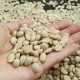 Café colombiano rompe récord histórico: más de US$5.400 millones en exportaciones en el último año