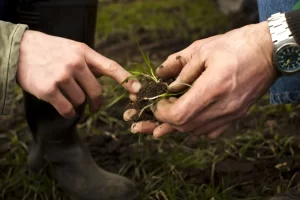 Expertos impulsan rehabilitación de suelos ácidos con soluciones sustentables