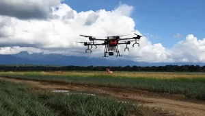 Mercado mexicano de agrodrones crecería a una tasa anual cercana al 36% para el 2035
