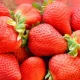 Tras el arancel antidumping al tomate, México espera otro golpe contra la fresa