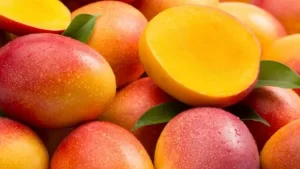 Pequeños productores de mango en México buscan un mejor posicionamiento comercial en los mercados internacionales