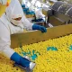 El negocio de la industrialización está en procesar fruta que se descarta