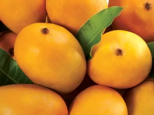 El mango michoacano pone el foco en los mercados de Asia y Medio Oriente