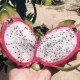 Exportaciones de pitahaya crecieron siete veces en volumen