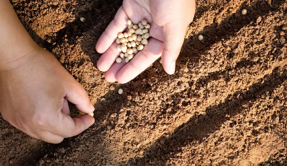 Bogotá inaugura banco comunitario de semillas agroecológicas en la localidad de Usaquén