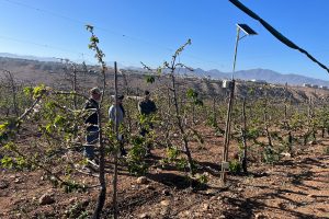 Productores comparten estrategias para enfrentar escenario de escasez hídrica