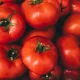 Crecimiento explosivo del volumen de tomate, sin respaldo en los precios