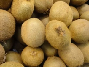 Lo que espera a los huertos de kiwi durante mayo y claves de poscosecha para el fruto