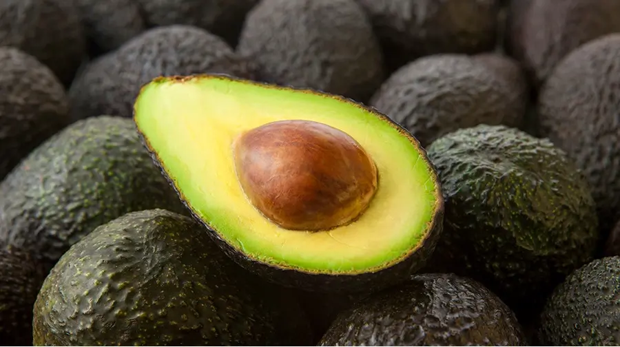 Palta Hass