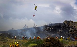 Fedefruta entregó recomendaciones ante trágico incendio que afecta a la región de Valparaíso