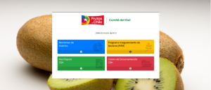 Nueva plataforma informática busca apoyar a productores de kiwi