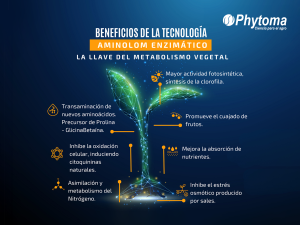 Phytoma evoluciona con la ciencia
