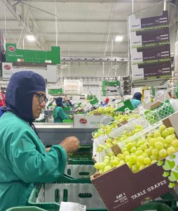 ProducePay levanta USD$38M para promover la estabilidad financiera de agricultores