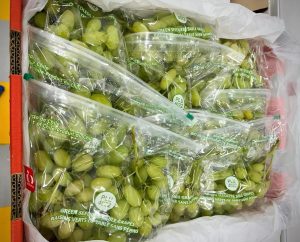 Arribó a México el primer cargamento de uva de mesa chilena con Systems Approach