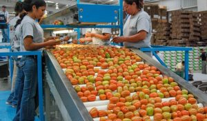 Exportaciones agroalimentarias superaron los US$51.000 millones en 2023