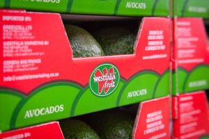 Westfalia acelera el paso de su aguacate para conquistar los mercados asiáticos