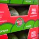 Westfalia acelera el paso de su aguacate para conquistar los mercados asiáticos