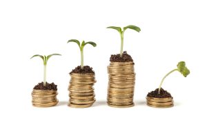 Las razones por las que quiebran las empresas agrícolas