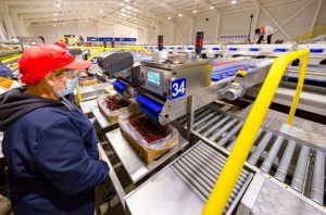 Los próximos pasos de Verfrut tras ser adquirida por Unifrutti