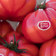Innovaciones que marcan el presente y futuro de la industria hortícola
