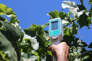 Tecnologías para optimizar el recurso hídrico y uso de fertilizantes entre productores de uva de mesa