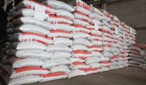 Entregan fertilizantes a productores de 28 estados