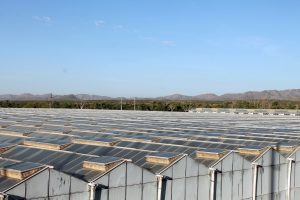 Amhpac delinea su estrategia para enfrentar nuevos desafíos