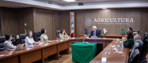 FAO y Gobierno mexicano evalúan proyectos para el desarrollo agropecuario