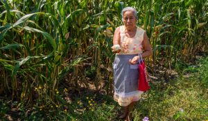 Impulsan desarrollo sostenible en zonas rurales de Texcoco