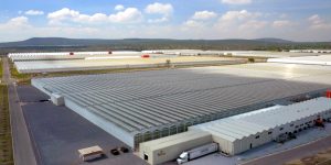 Agropark,  un modelo único en México donde se producen 150.000 toneladas de hortalizas al año