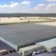 Agropark,  un modelo único en México donde se producen 150.000 toneladas de hortalizas al año