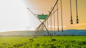 Bauer do Brasil anuncia que expandirá su operación al mercado de América del Sur