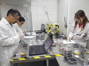 El importante papel que juega el recambio varietal en la estrategia del arándano en Chile