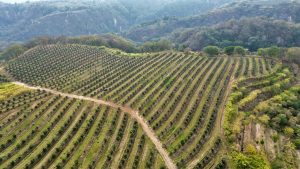 Preparados para hacerle frente a un escenario  de variabilidad   climática
