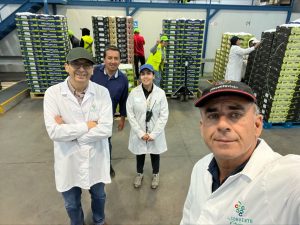 Convento Viejo celebró el empaque de su caja número un millón de uva de mesa