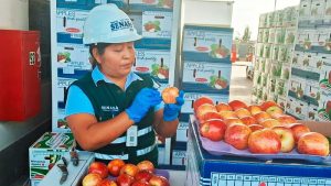 Perú suspendió importación de carozos y manzanas desde Chile