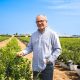 Don Ricardo busca nuevas variedades de arándanos de alta producción, buen sabor y viajeras