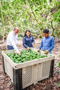 Farmex: 45 años siendo el guía experto para los agricultores peruanos