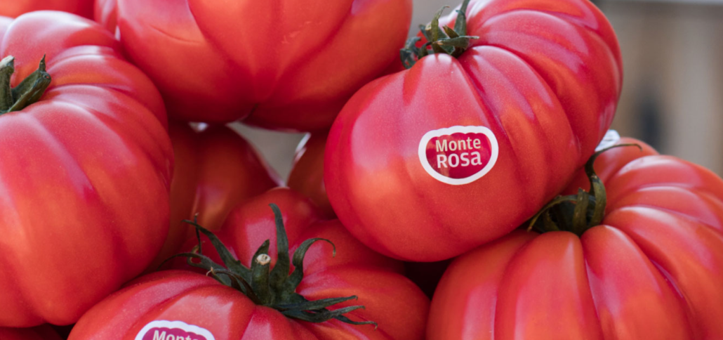 Tomate Monte Rosa, voluptuoso, asimétrico y acostillado.