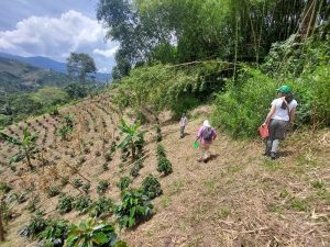 Adelantan iniciativa que busca disminuir las pérdidas poscosecha en zonas de ladera