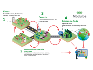Implementación de Soluciones AgTech en la Agricultura Tropical