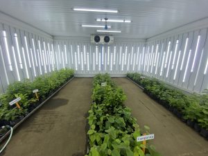 Investigaciones que potencian la agricultura sureña