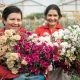 En el Día de la Madre el Plan Pétalo asegura la eficiencia en las exportaciones de flores