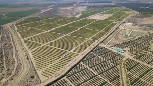 Líderes del Proyecto Olmos discutirán los desafíos de la irrigación