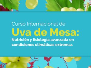 Uva de mesa: Aprende todo sobre nutrición y fisiología para hacerle frente al clima cambiante