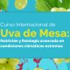 Uva de mesa: Aprende todo sobre nutrición y fisiología para hacerle frente al clima cambiante