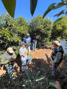 Fertilizantes líquidos, un salto en eficiencia para la gestión del campo