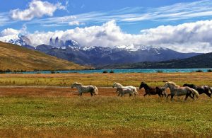 Reavalúo de predios agrícolas: El plazo se acerca